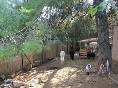 183 D21 SANARY SUR MER 1_000068
